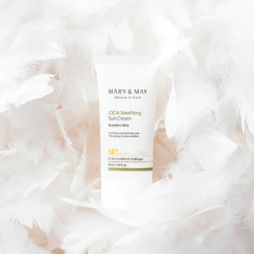 225_2ae21912-9b1f-48e0-a124-293ce4d538e9