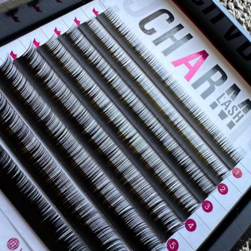 WhatsApp-Image-2024-02-28-at-16.06.13-1-scaled-e1709147486586