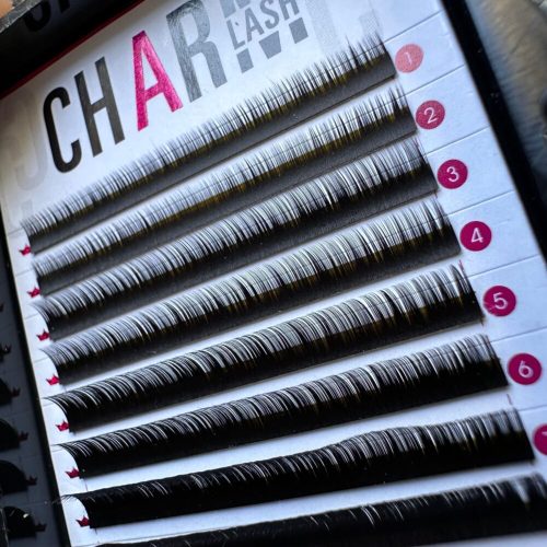 WhatsApp-Image-2024-02-28-at-16.06.13-scaled-e1709147524898