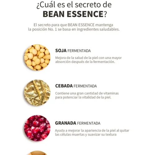 beanessence1-729x1024-1