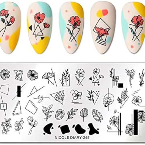 nicole-diaria-placa-245